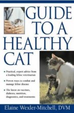 Guide To A Healthy Cat