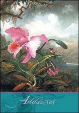 Orchid  Hummingbird Pocket Address Book