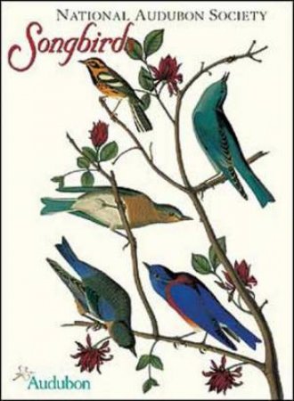 Audubon Songbirds Boxed Notecards by Pomegranate