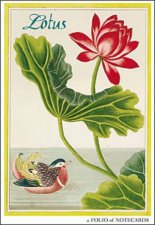 Lotus Notecard Folio