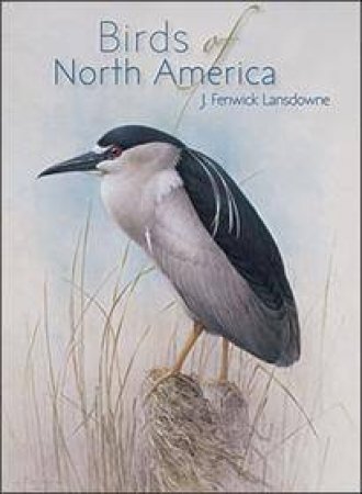 Birds of North America Boxed Notecards (0532) by J Fenwick Lansdowne