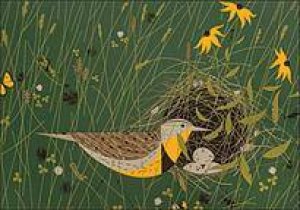 Eastern Meadowlark Notelets (0117) by Charley Harper