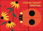 Ladybugs Boxed Notecards 0563