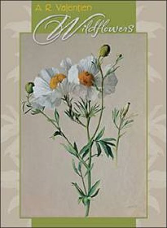 Wildflowers Boxed Notecards (0546) by A R Valentien