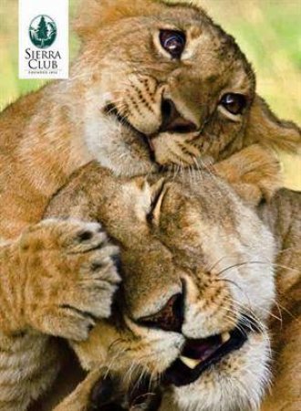 Mothers Boxed Notecards (SC1050) by Club Sierra