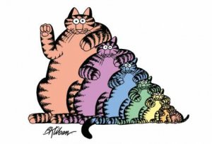 Multicolored Cats Magnet by Various