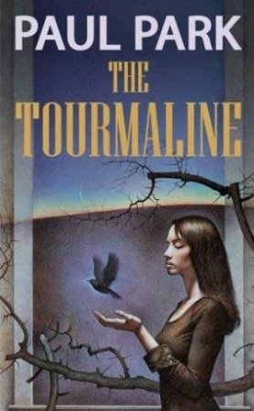 The Tourmaline by Paul Park