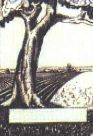 Heritage Bookplates: Ploughed Fields by Unknown