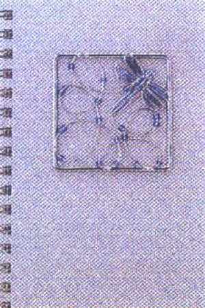 Select Journal - Silver With Beading by Unknown