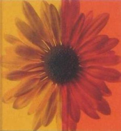 Square Journal - Flower by New Holland Publishers