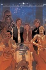 Star Wars Journey to Star Wars The Force Awakens Shattered Empire