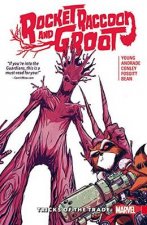 Rocket Raccoon and Groot Vol 1