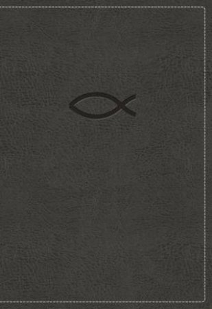 KJV Thinline Bible Youth Red Letter Edition [Grey] by Thomas Nelson