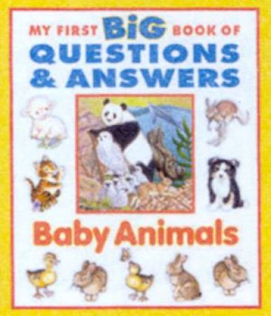 My First Big Board Book Of Questions & Answers: Baby Animals by Various