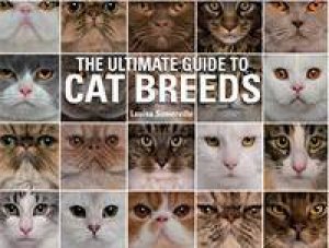 The Ultimate Guide To Cat Breeds by Louisa Somerville