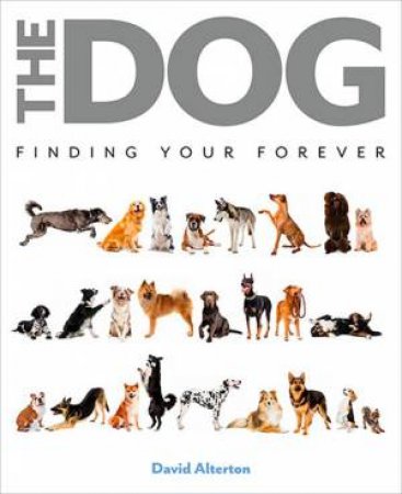 The Dog by David Alderton