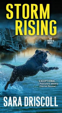 Storm Rising by Sara Driscoll