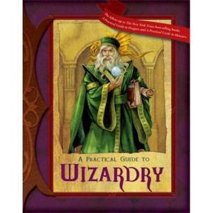 Practical Guide to Wizardry by Susan Morris