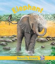 Elephant Abbeville Animals