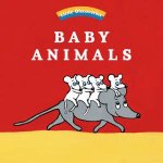 Baby Animals Little Discoveries