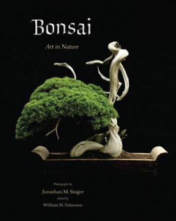 Fine Bonsai by Jonathan M. Singer