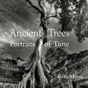 Ancient Trees: Portraits Of Time by Beth Moon