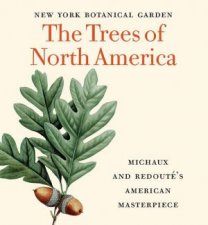 The Trees Of North America Michaux And Redoutes American Masterpiece