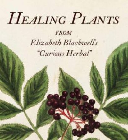 Healing Plants: From Elizabeth Blackwell's A Curious Herbal by MARTA MCDOWELL