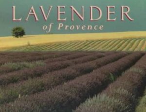 Lavender Of Provence Boxed Notecards by Various