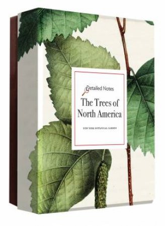 The Trees Of North America (Notecard Box) by Various