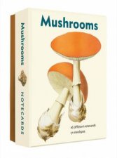 Mushrooms Notecard Box