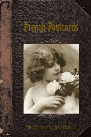 French Postcards: An Album Of Vintage Erotica by Martin Stevens