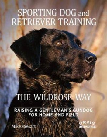 Sporting Dog and Retriever Training by Mike Stewart