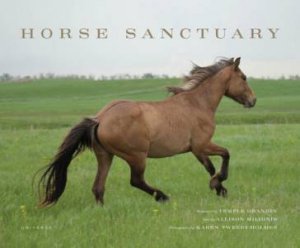 Horse Sanctuaries by Allison Milionis