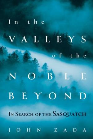 In The Valleys Of The Noble Beyond by John Zada