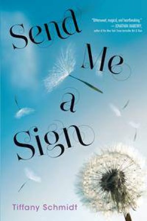 Send Me a Sign by Tiffany Schmidt