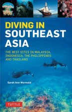 Diving In Southeast Asia The Best Sites In Malaysia Indonesia The Philippines And Thailand