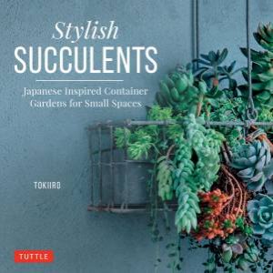 Stylish Succulents by Tokiiro