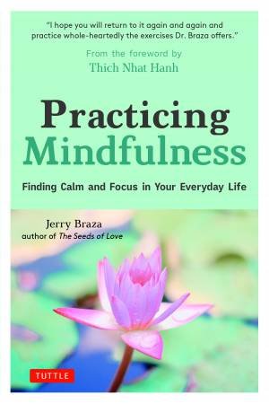 Practicing Mindfulness by Jerry Braza & Thich Nhat Hanh