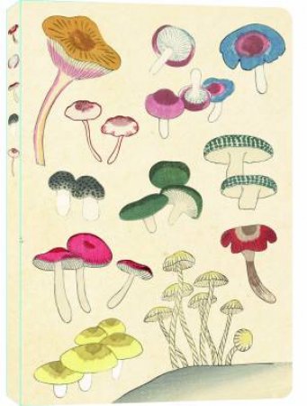 Healing Mushrooms Paperback Journal: Lined by Various