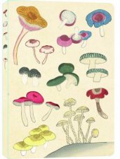 Healing Mushrooms Paperback Journal Lined