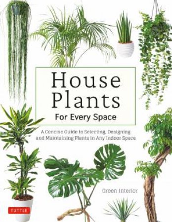 House Plants for Every Space by Green Interior