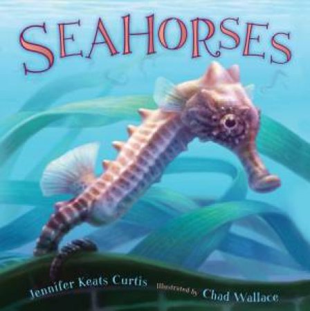 Seahorses by Jennifer Keats Curtis