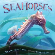 Seahorses