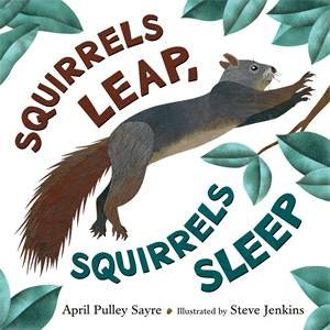 Squirrels Leap, Squirrels Sleep by April Pulley Sayre & Steve Jenkins