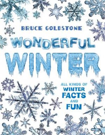 Wonderful Winter by Bruce Goldstone