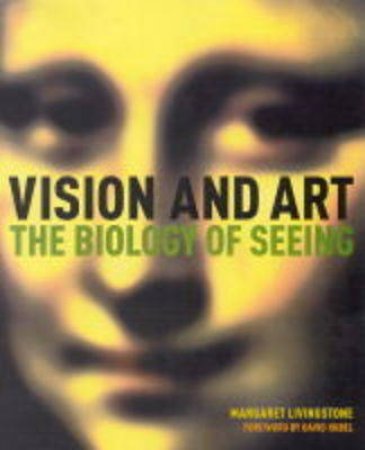 Vision And Art:Biology Of Seeing by Livingstone Margaret