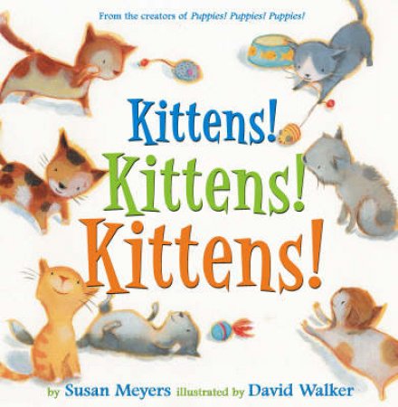 Kittens! Kittens! Kittens! by Susan Meyers