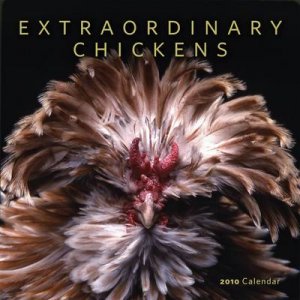 Extraordinary Chickens 2010 Cal. by No Author Provided