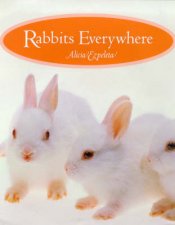 Rabbits Everywhere